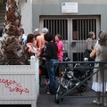 IMG 4381