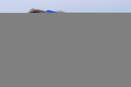 Viavario Photos (103)